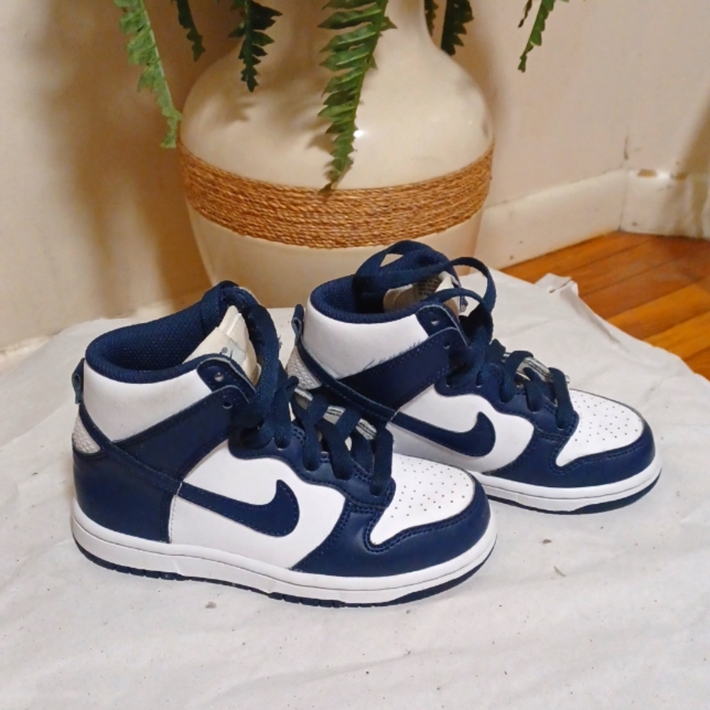 Toddler Nike Dunks